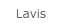 Lavis